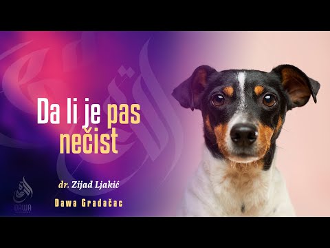 DA LI JE PAS NEČIST - dr. Zijad Ljakić