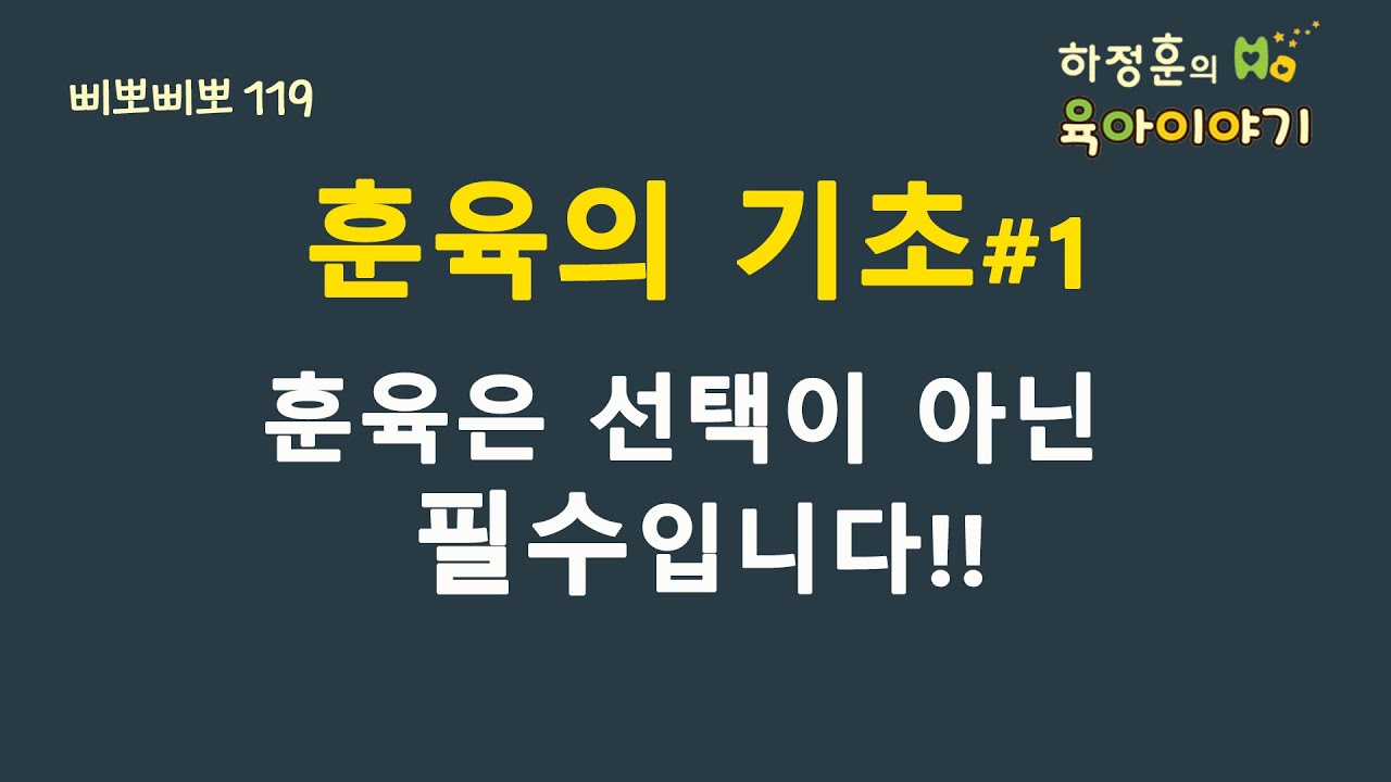 원본 보기