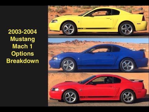 2003 / 2004 Mustang Mach 1 Interior and Transmission Breakdown Statistics