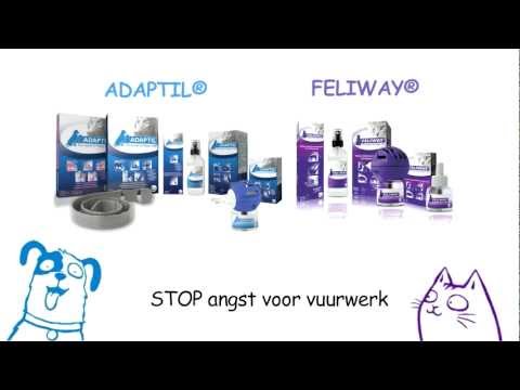 ThunderEase Calming Diffuser Refill for Dogs, 90 day, 144-ml Video