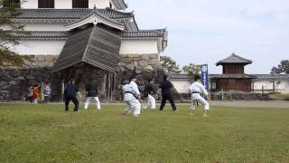 preview picture of video 'Seiunchin Seienchin Okinawa Goju-ryu Karate-do セイエンチン 沖縄剛柔流空手道 無心舘 白石城での野外稽古'