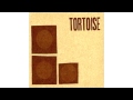 Tortoise - Night Air