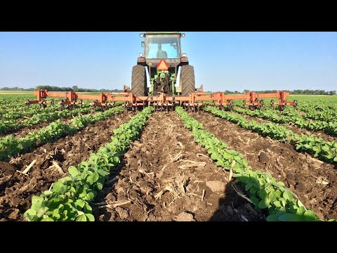 How To Transition Your Farm To Organic Part 1