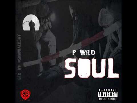 PWILD - SOUL (FREESTYLE)