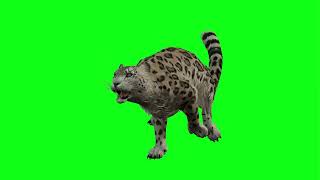 Download lagu white tiger  green screen  video effect  and 5 effect animation animal mp3