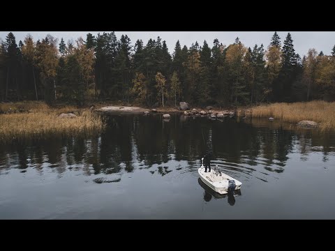 Haukiperhon heittäminen tehokkaasti