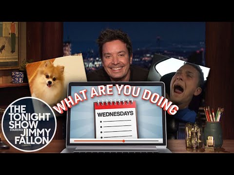 你在做什麼週三。狗狗飲食挑戰，尖叫的汽車乘客 (What Are You Doing Wednesdays: Dog Diet Challenge, Screaming Car Passengers)