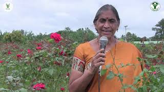 ICAR-IIHR New Cutflower Roses