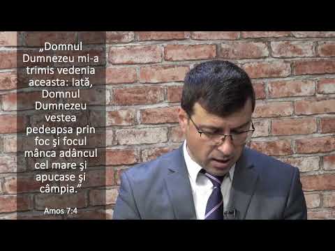 Un Mijlocitor in timp de criza Ilie Vilcu