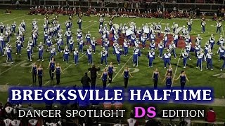 preview picture of video '2014 Hudson Dancers • Halftime: Hudson vs. Brecksville [DS]'