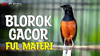 Download lagu MURAI BLOROK GACOR FUL MATERI ISIAN mp3
