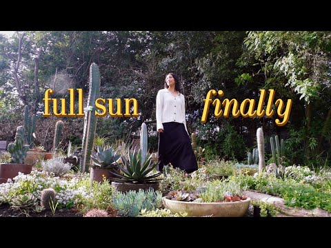 The Garden Upgrade That Solved Everything