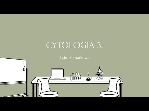 Kurs maturalny z biologii - Cytologia 3: Jądro komórkowe