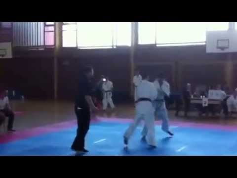 Emanuel Lebo Sisak Cup 2014