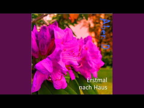 download lagu mp3 mp4 Aben Wenn Ich Nachts Hochseh, download mp3 Aben Wenn Ich Nachts Hochseh free downloadn, video klip Aben Wenn Ich Nachts Hochseh