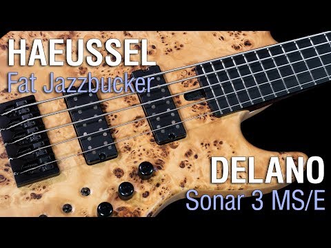 Haeussel Fat Jazzbuckers + Delano Sonar 3 MS/E // Maruszczyk Elwood 5a