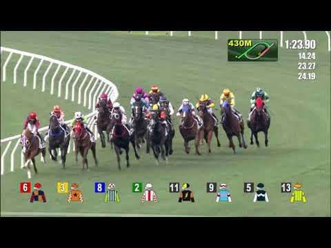 16/4/2022 (589) Perfect Maryknoll - H Bentley