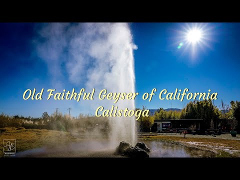 image-How often does Old Faithful geyser in Calistoga erupt?