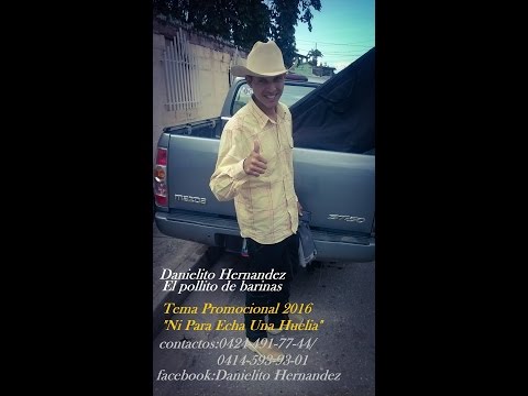 DANIELITO HERNANDEZ "EL POLLITO DE BARINAS" - NI PARA ECHA UNA HUELIA.