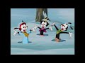 Gotta Get To The Wishing Star Wakko S Wish