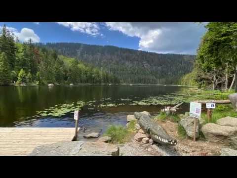 Wanderung um den Arbersee in Bayerisch Eisenstein