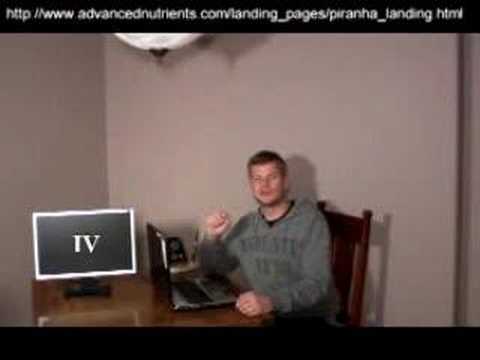 Bigger Roots how to grow massive roots