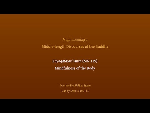 Kāyagatāsati Sutta | Mindfulness of the Body (MN 119), read by Sean Oakes