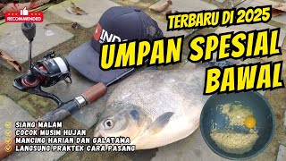 Download lagu The most effective and powerful pomfret fish bait, the latest grated tempeh concoction 2025 mp3 Download lagu The most effective and powerful pomfret fish bait, the latest grated tempeh concoction 2025 mp3