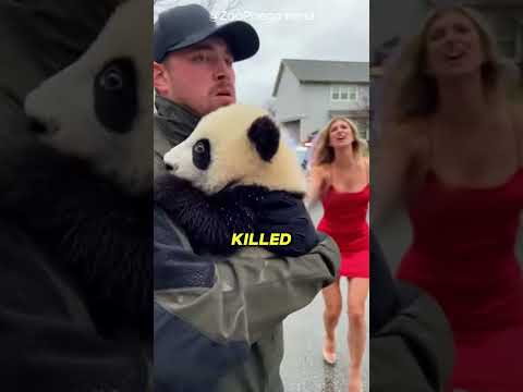 he used her puppy as a 