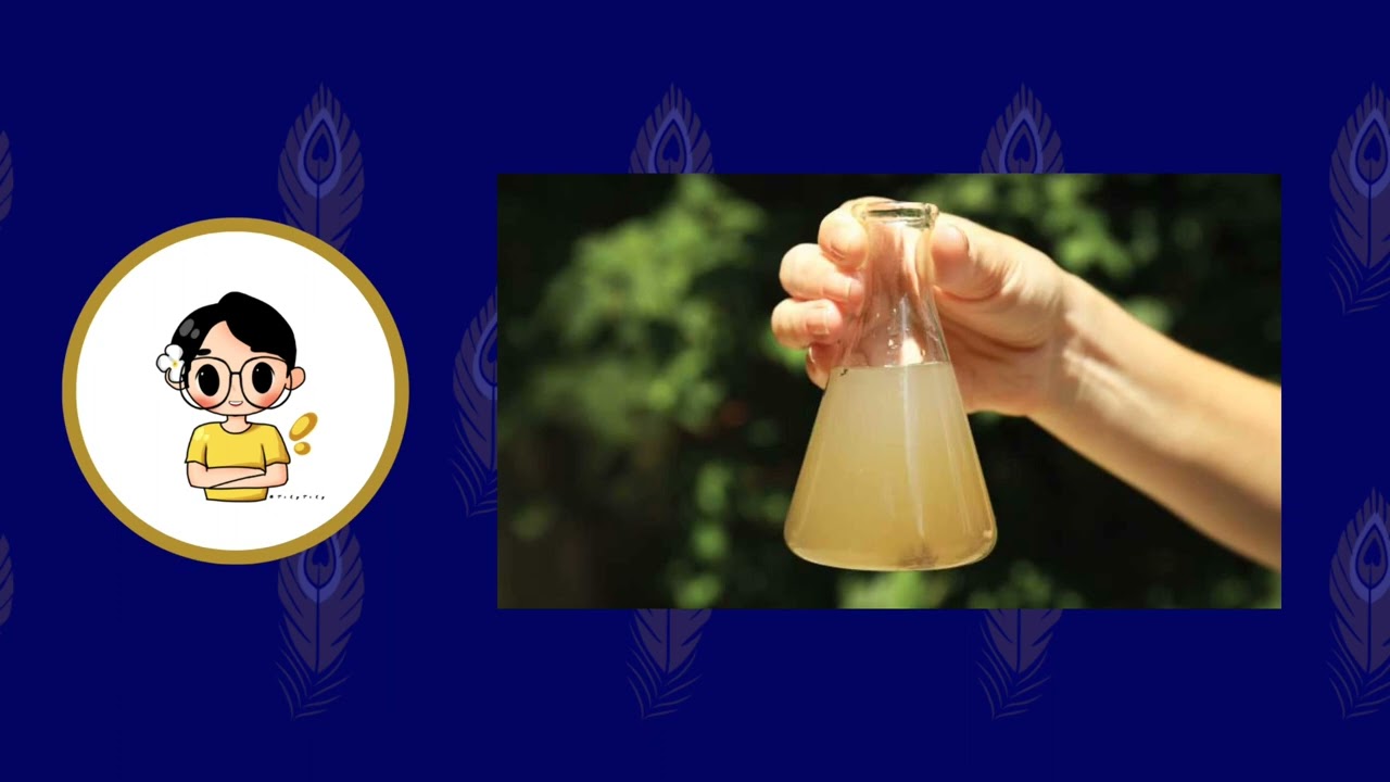 Lesson 24 - How does air pollution effect on environment