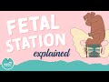 Fetal Station Overview | Mother Baby Nursing | NurseInTheMaking
