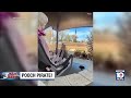 Video Shows Porch Pirate Was Actually A Pooch