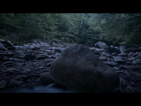 Dust Beauty -Joshua Mendoza