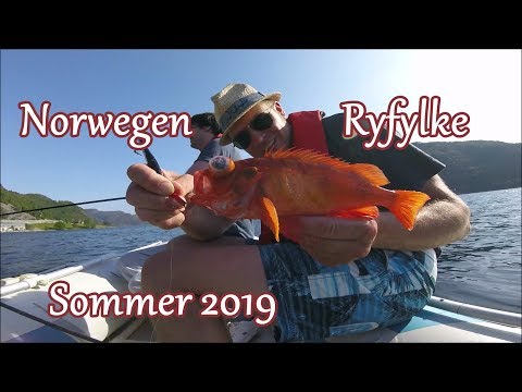 Ryfylke über und unter Wasser - Rogaland, Norwegen - Sommer 2019
