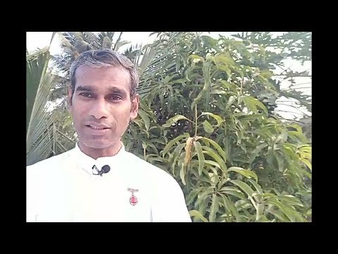 Tamil Murli 23 January 2020 - BK Saravana Kumar