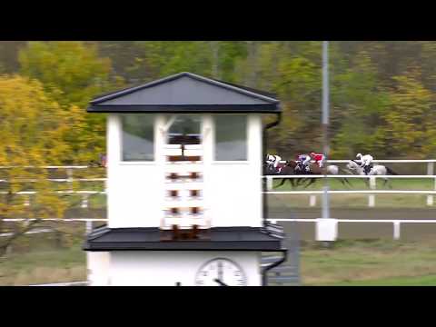 2018.10.17 Norsk Oaks - Zahara