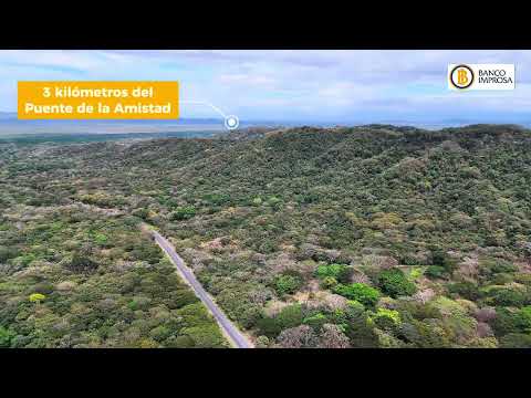 Lote en Guapinol de Cañas, Guanacaste | Banco Improsa