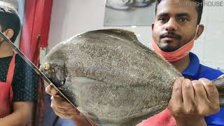 Big Black Pomfret | Fastest Slicing | Amazing Fish Cutting Skills | By Expert Cutter
