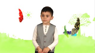 Թրթուրի կոշիկը