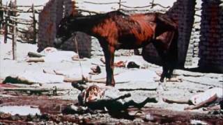 El Topo (1970) Video