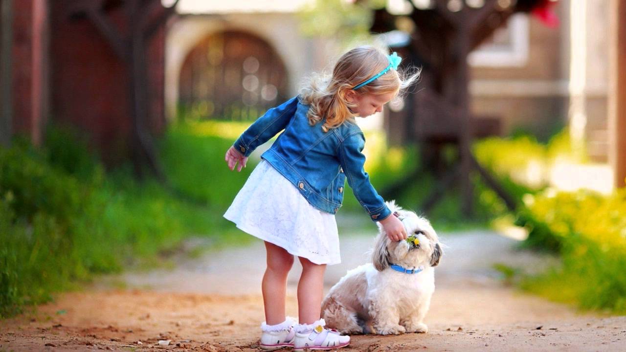 Ve Soniya Lyrics  | Mashooqa | Alka Yagnik | Bappi Lahiri