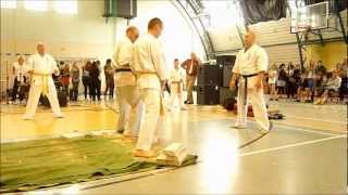 preview picture of video 'Cz. 5 pokaz Staszowskiego Klubu Karate Kyokushin na Dzień Dziecka - Staszów 2012'