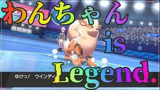 でんせつポケモン”ウィンディ”、普通に強い【ポケモン剣盾】