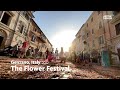 The Flower Festival Genzano Di Roma Italy 2022