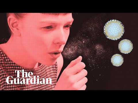 コロナウイルスの蔓延を食い止める方法 (How to stop the spread of coronavirus)