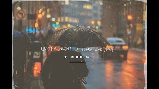 [Viet+Rom] Park Jae Jung (박재정) – In The Night (Hi Bye, Mama OST Part 5)