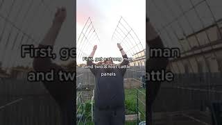 No Truck How to build a cattle panel trellis' with two smaller panels! #gardentrellis #gardentips