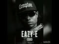 Mary J Blige Ft Eazy E 2Pac Família Affair