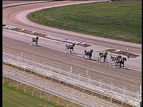 Trotto 20/09/2019 - 1ª prova di qualifica