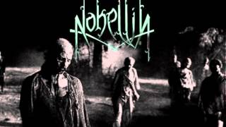 Nohellia - Great New Stars